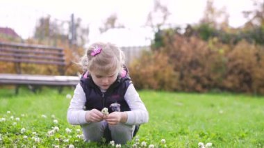 küçük kız çayırda çiçek toplama