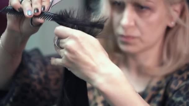 Hairstylist cuts the hair to a young girl with a professional scissors — Stock Video