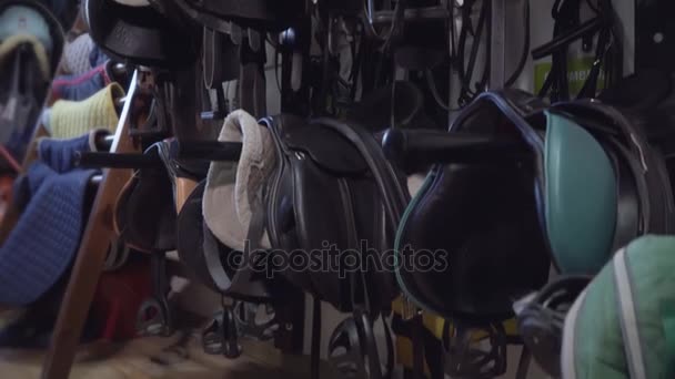 Tack room with equestrian equipment. — Stock Video