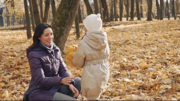 Маленька дівчинка дарує мамі букет осіннього листя в парку . — стокове відео