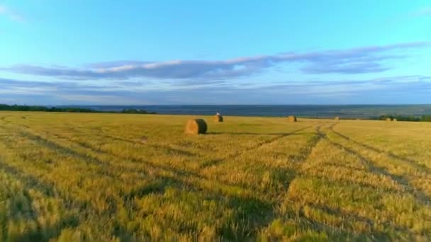 Madre con hija se sienta en la pila de paja en el campo rústico en la puesta del sol . — Vídeos de Stock