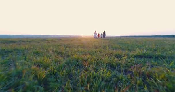 Dos madres con hijas caminan de manos en el campo al atardecer. Vista aérea . — Vídeo de stock