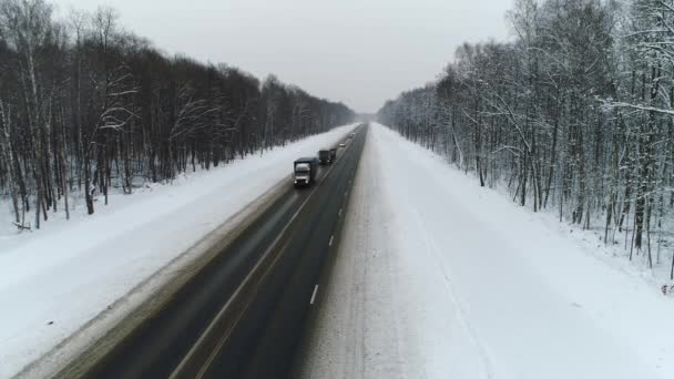 Flygning av bilar och lastbilar som kör på vintern. Vägen omgiven av snö och träd — Stockvideo