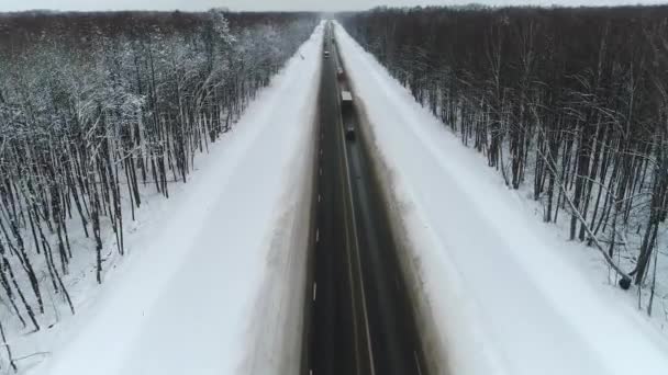 冬季驾驶的汽车和卡车的空中飞行。被雪和树环绕的道路 — 图库视频影像