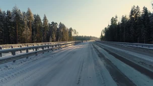 Fordonskörning på motorvägen i vacker solig vinter vintergrön skog. — Stockvideo