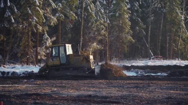 Bulldozer vlakt zand, bouwt een weg in de winter. Ontbossing, Bouw — Stockvideo