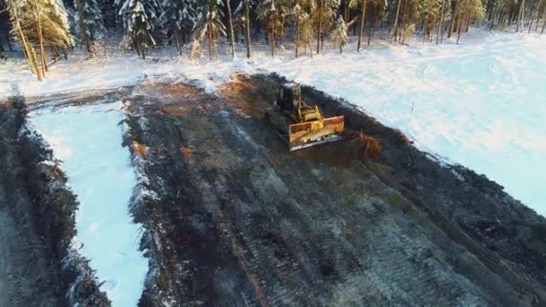 Bulldozer ebnet Sand, baut im Winter eine Straße. Entwaldung, Entwicklung — Stockvideo