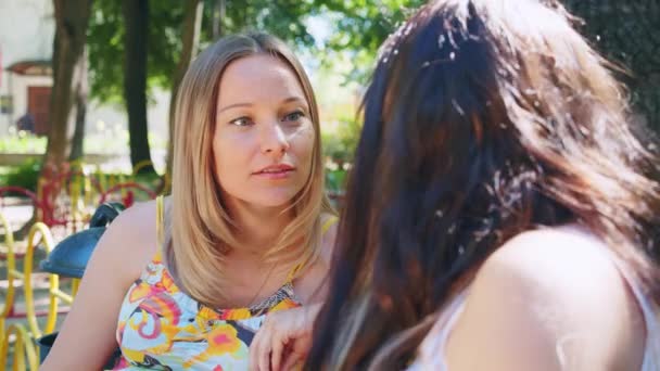 금발에 갈색 머리의 두 젊은 여자가 여름 공원에서 감정적으로 말하는 모습. — 비디오