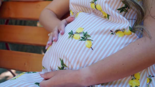Close up de mulheres grávidas mãos acariciando barriga em um banco de parque no verão . — Vídeo de Stock