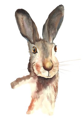 A watercolor portrait of a beautiful brown and tawny rabbit with dark yellow eyes and big fluffy ears