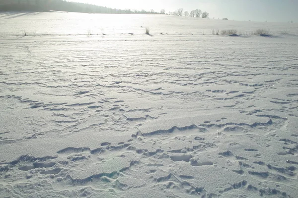 Terreno sotto la neve dal giorno invernale — Foto Stock