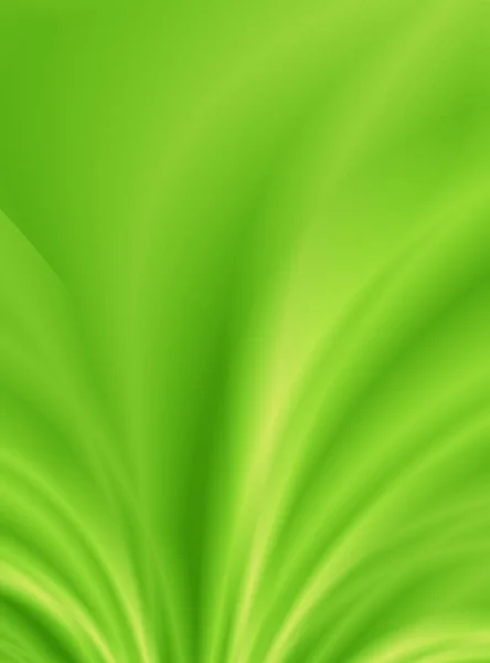 Grüne Natürliche Öko Helle Blatt Kunst Design — Stockfoto