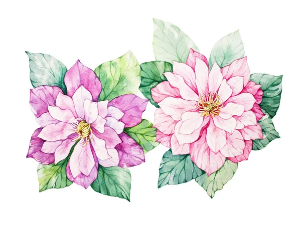 Watercolor flowers illustration. Isolated composition. Good for — Stock Photo, Image