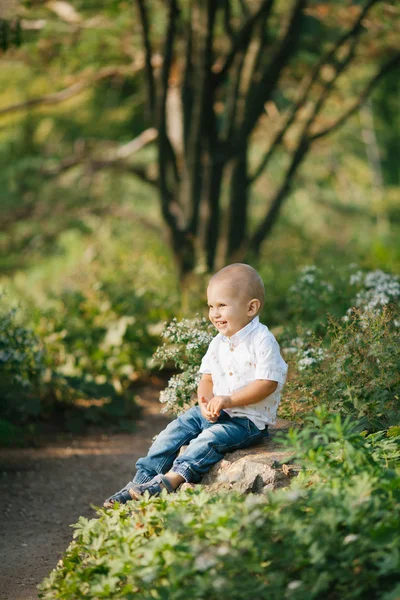 Rapazinho feliz lá fora — Fotografia de Stock