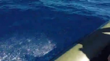 Portekiz Maderia Adası yakınlarında Atlantik Okyanusu 'nun mavi dalgalarının 4k videosu. Denizin karşısından hareket eden bir motorlu tekneden ateş edilmiş. Geniş bir deniz ve görünür bir kara parçası yok..