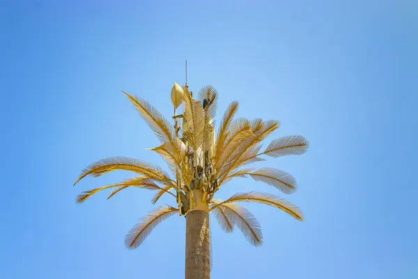 Tall column in the shape of a golden palm tree stands on the island of Goree, Senegal, Africa. — Stock Photo, Image