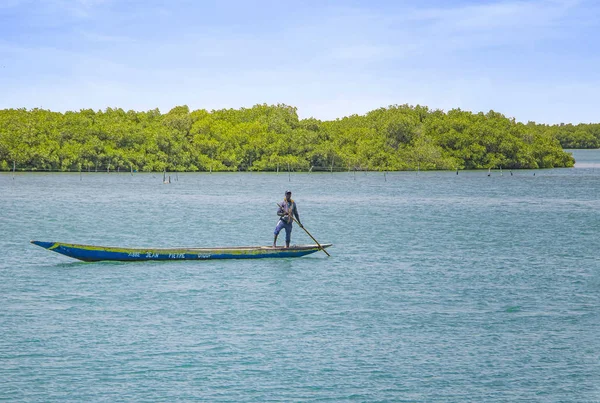 Fadiouth, Senegal, AFRICA - 26 kwietnia 2019: Niezidentyfikowany Senegalczyk Człowiek płynie typowym drewnianym kajakiem w morskiej lagunie i rybach. Za nim są zielone namorzyny.. — Zdjęcie stockowe