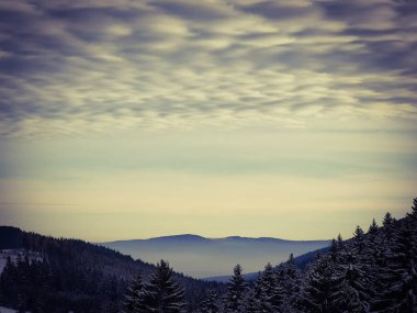 Çek Cumhuriyeti 'nin Krkonose şehrinde gün batımında karlı ormanın manzarası. Tepeler peri sisinin içinde saklı..