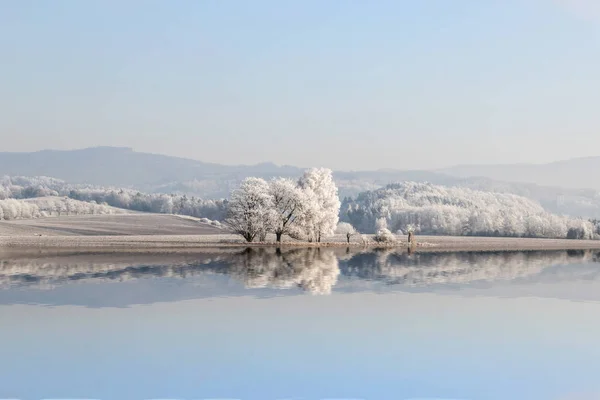 Paisagem de inverno com beco de árvores nevadas em um lago onde seu reflexo é visível. É no oeste de Bohemia nas montanhas de minério de checo — Fotografia de Stock