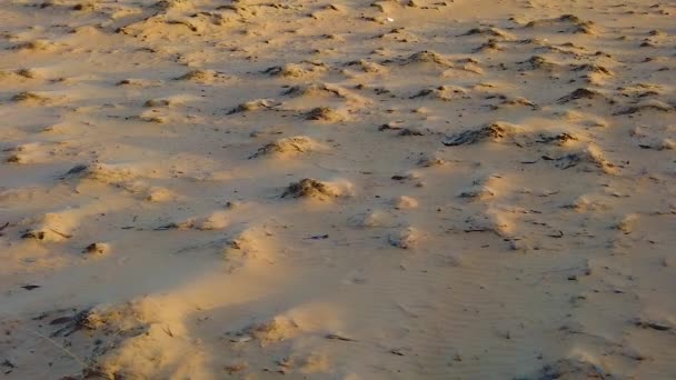 HD video al rallentatore di vista dall'alto su dune di sabbia nel deserto del Sahara, Africa. Ci sono belle onde sulla sabbia. T — Video Stock