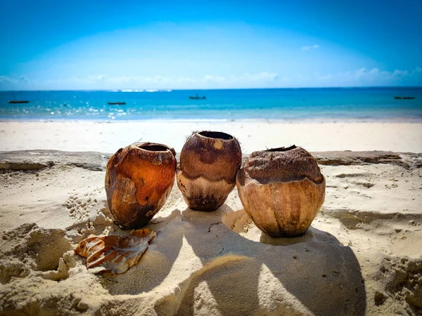 Tres cocos en la arena en una playa en Kenia, África. En el fondo está el Océano Índico. Es un paraíso tropical . — Foto de Stock