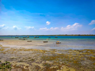 Afrika, Kenya 'daki Wasini adasında gelgit var. Harika deniz manzarası ve küçük tekneler..