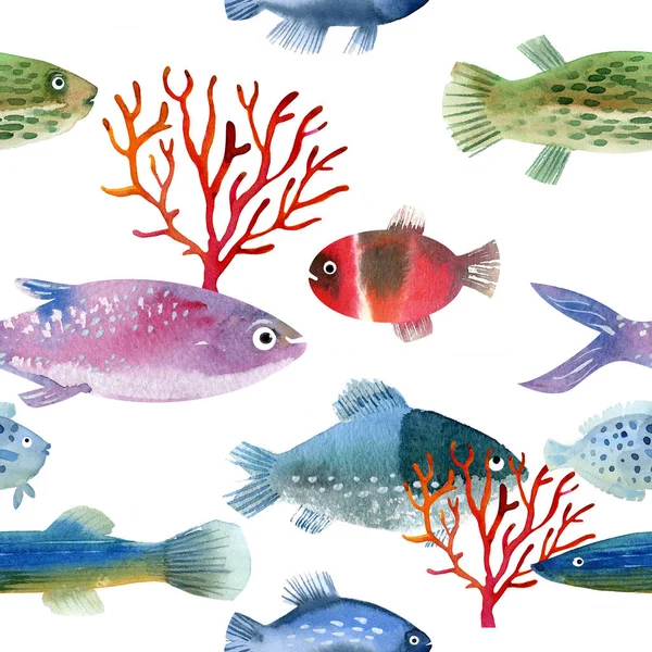 Vida marinha, peixes diferentes — Fotografia de Stock