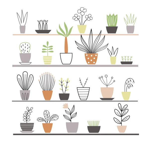 Plantas que crecen en macetas — Vector de stock