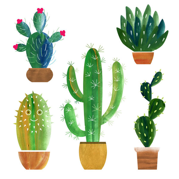 Set of different cactuses in pots