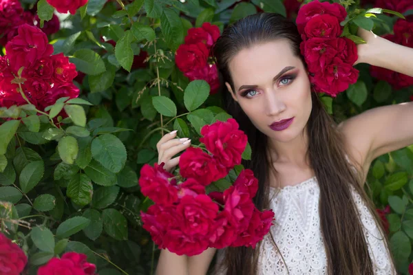 Portrait of a beautiful girl glamorous girl — Stock Photo, Image