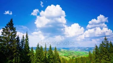 Yazın Karpat Dağları