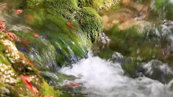 Beautiful waterfall in Crimea — Stock Video