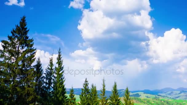 carpathian mountains in summer
