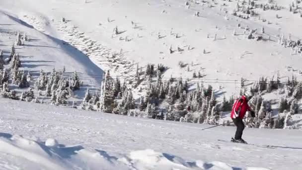 Карпатський ліс з чоловіком на лижах — стокове відео