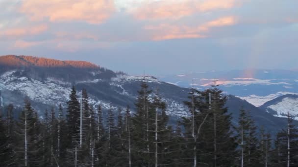 Invierno Bosque de Cárpatos — Vídeos de Stock