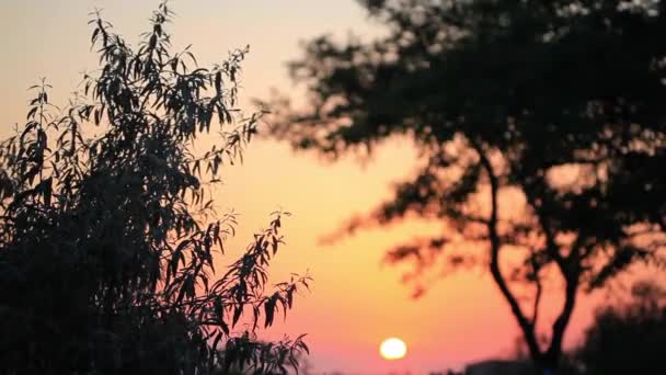 Paisaje de la costa en la puesta del sol — Vídeos de Stock