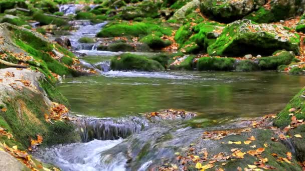 Schöner Wasserfall auf der Krim — Stockvideo