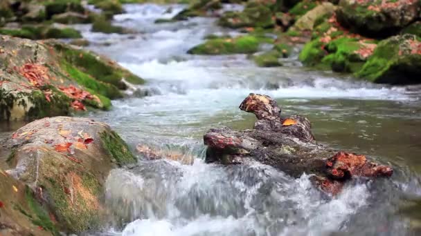 Bela cachoeira na Crimeia — Vídeo de Stock