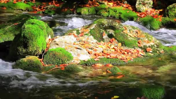 크리미아에 있는 아름 다운 폭포 — 비디오