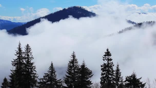 Carpathian mountains with fog — Stock Video