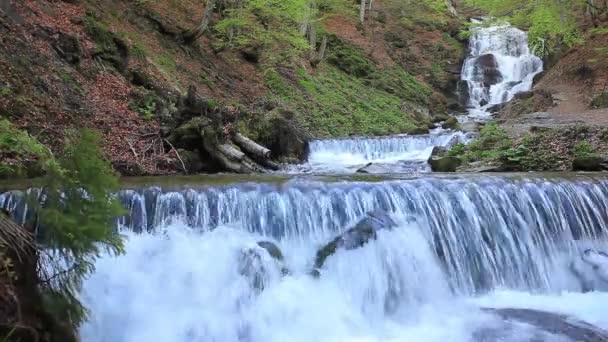 Montanhas dos Cárpatos e cachoeira — Vídeo de Stock