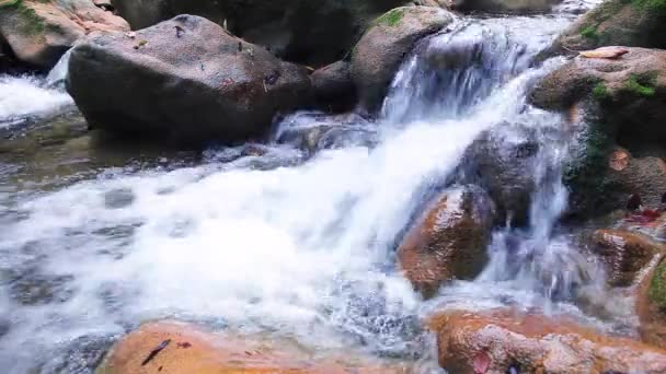 Hermosa cascada en Crimea — Vídeo de stock