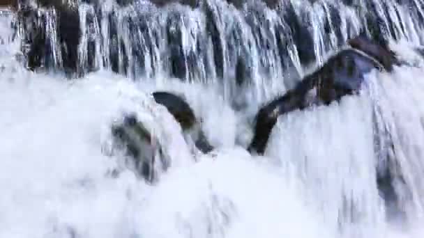 Montagne carpatiche e cascata — Video Stock