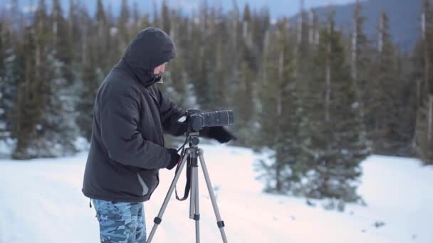 Carpathian forest with male photographer — Stock Video