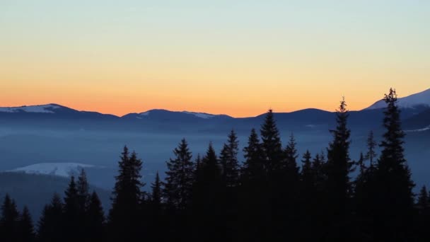 Winter carpathian forest on sunset — Stock Video