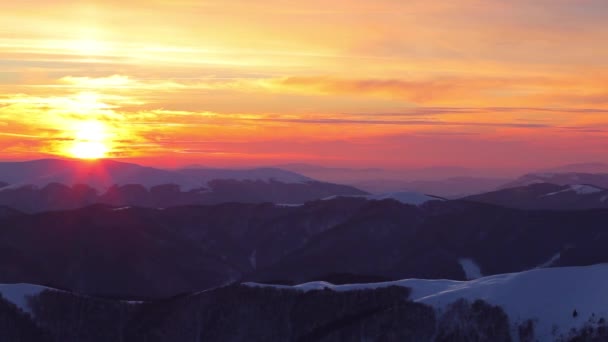 Winter Karpaten Bos in de zonsondergang — Stockvideo