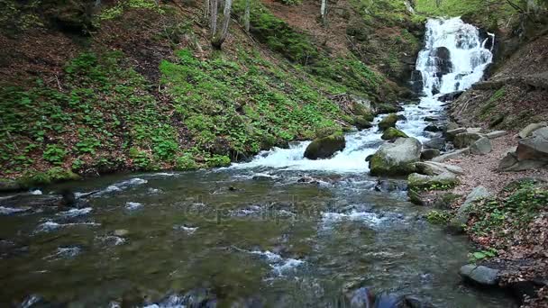 Montañas de Cárpatos y cascada — Vídeo de stock