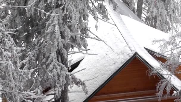 Κτίριο στο δάσος του χειμώνα των Καρπαθίων — Αρχείο Βίντεο
