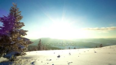 Karpat orman güneş ışık