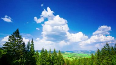 dağ yeşil ağaçların 